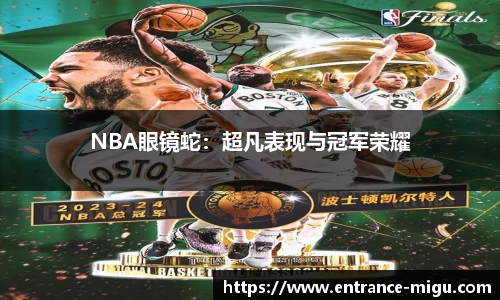 NBA眼镜蛇：超凡表现与冠军荣耀