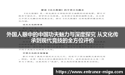 外国人眼中的中国功夫魅力与深度探究 从文化传承到现代竞技的全方位评价