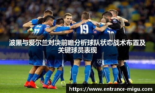 波黑与爱尔兰对决前瞻分析球队状态战术布置及关键球员表现